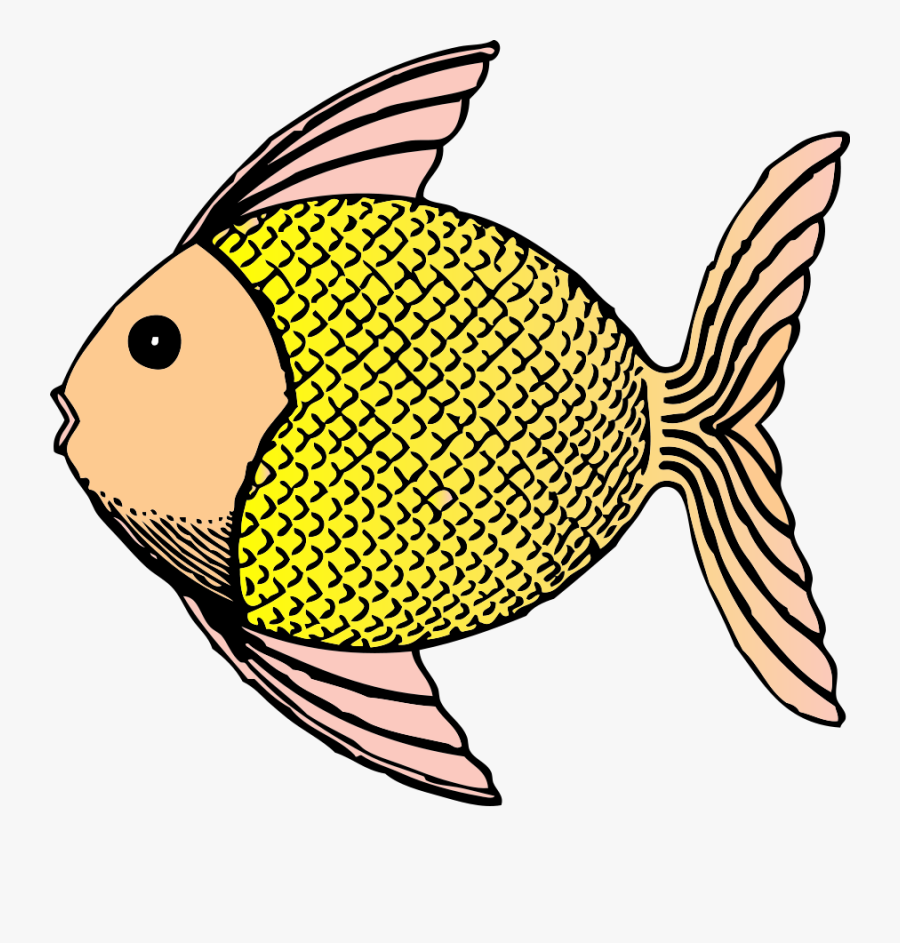 Tropical Fish - Animals With Scales Clipart, Transparent Clipart