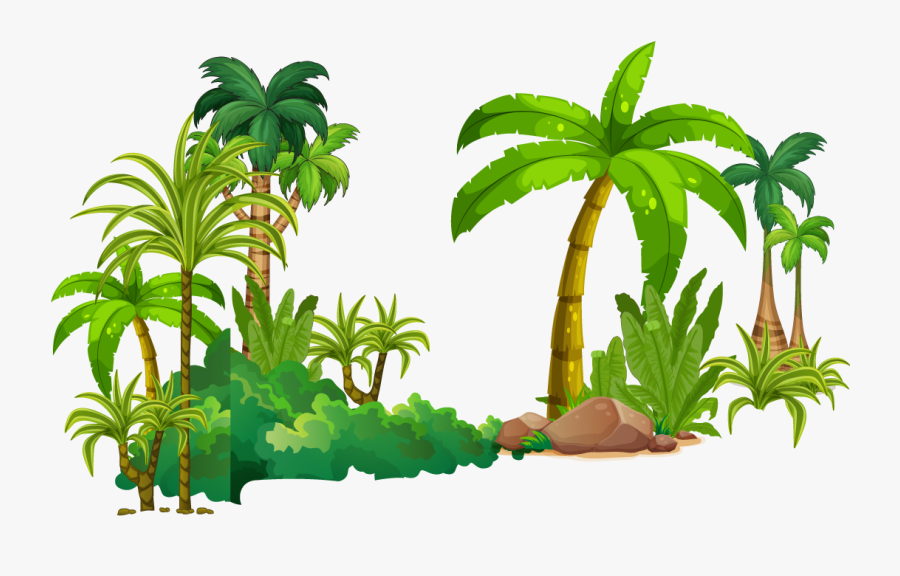 Tropical Rainforest Tree Clipart, Transparent Clipart