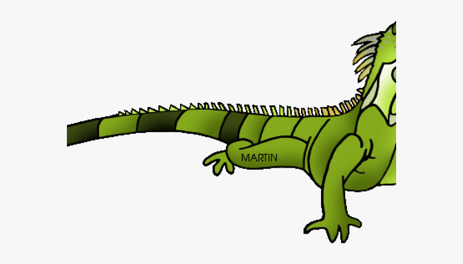 Transparent Background Iguana Clipart, Transparent Clipart