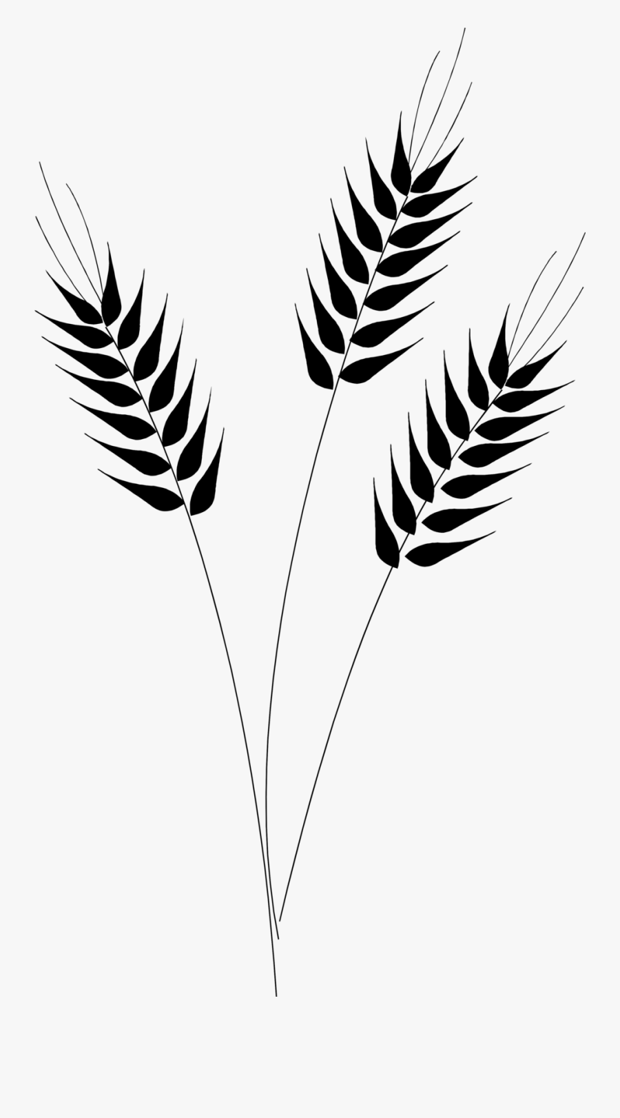 Wheat Clipart Drawn - Wheat Clipart Black And White, Transparent Clipart
