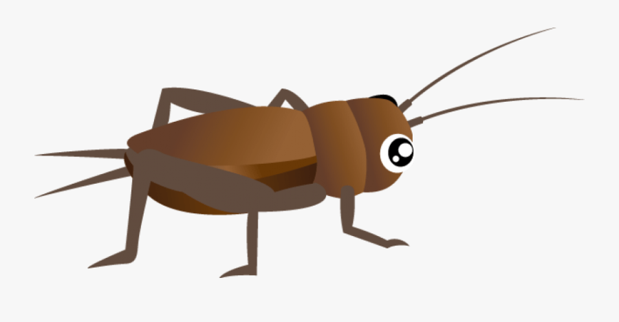 Clipart Png Cricket - Cricket Bug Png Transparent, Transparent Clipart