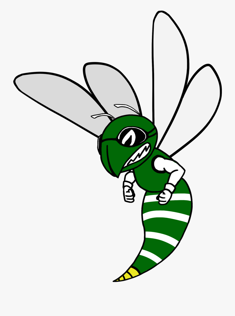 Support Our Teams - Net-winged Insects, Transparent Clipart