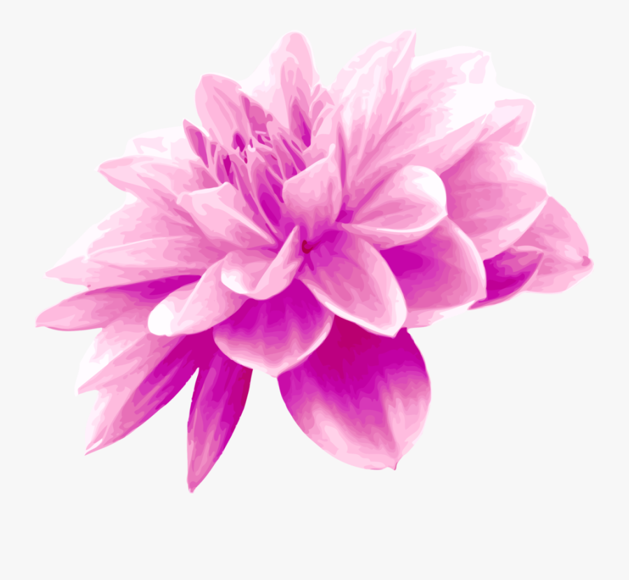 Pink,plant,flower - Light Blue Flowers Png, Transparent Clipart