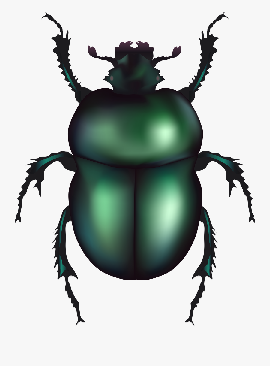 Green Rose Chafer Png, Transparent Clipart