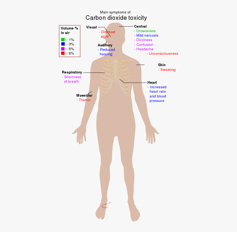 Main Symptoms Of Carbon Dioxide Toxicity - Carbon Dioxide Toxicity Symptoms, Transparent Clipart