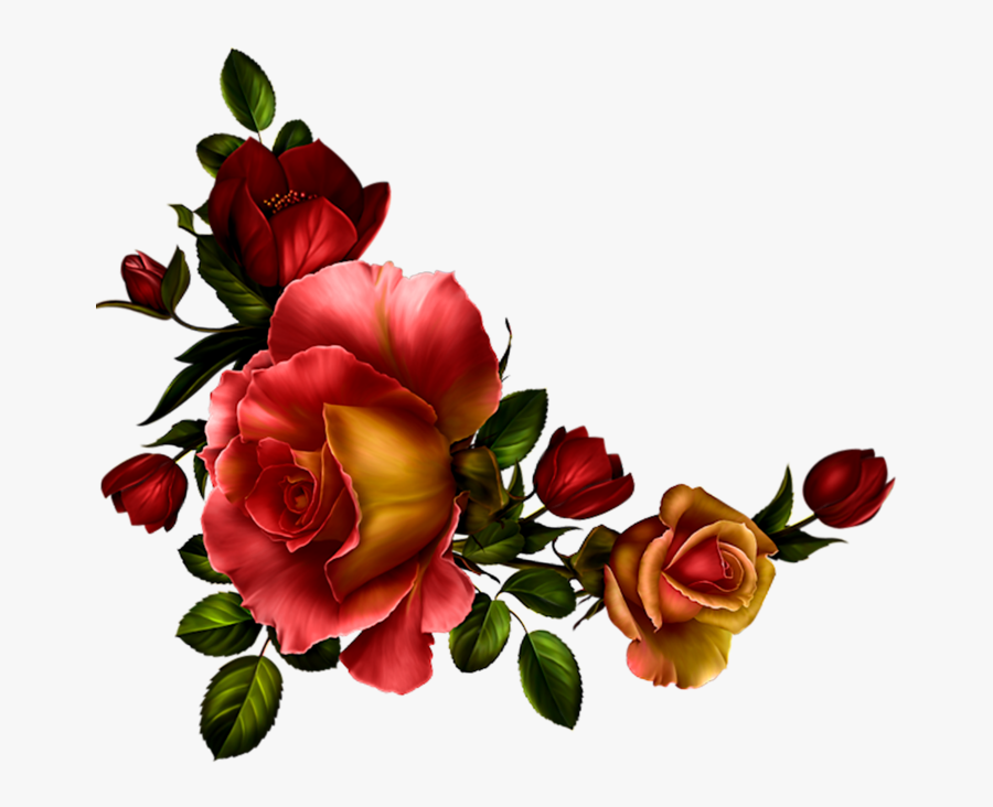 Фото, Автор Bzikolya На Яндекс - Garden Roses, Transparent Clipart