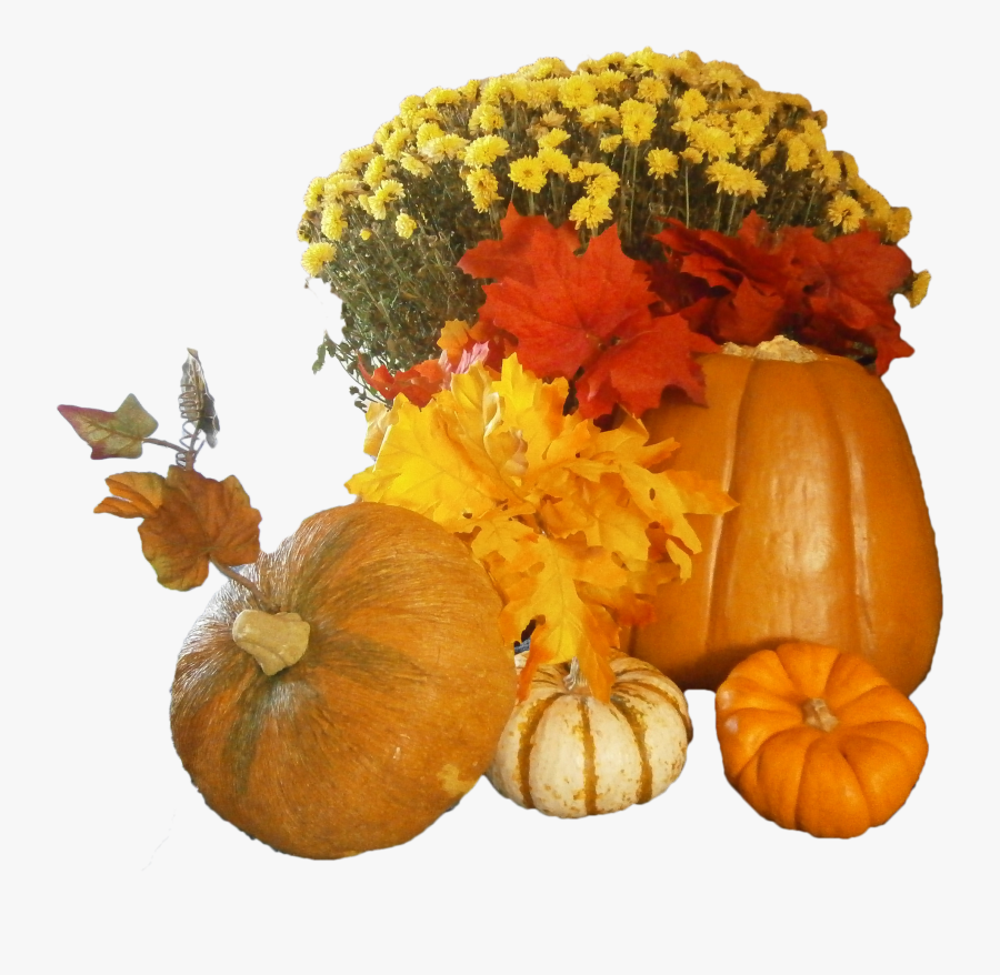Free Thanksgiving Day Png Images - Thanksgiving Pumpkins Png, Transparent Clipart