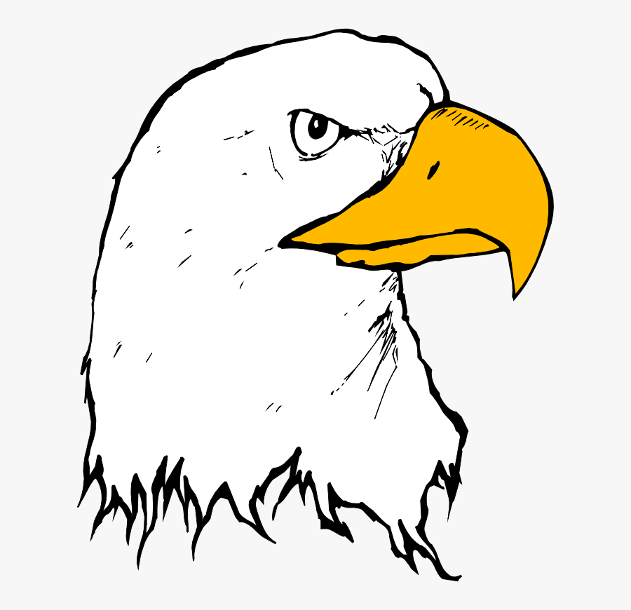 Eagle Drawing Cartoon, Transparent Clipart