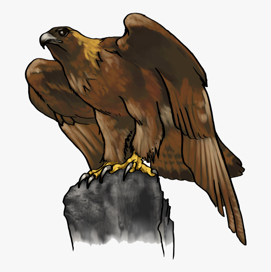 Head Clipart Golden Eagle - Golden Eagle Transparent Background, Transparent Clipart