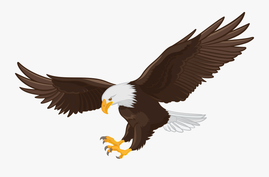 Transparent American Eagle Png - Transparent Background Eagle Clipart, Transparent Clipart