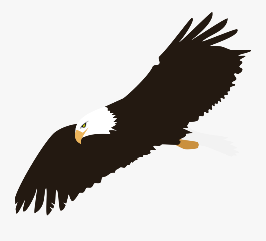 Soaring Bald Eagle Vector Clipart Clip Art - Bald Eagle Flying Clip Art, Transparent Clipart