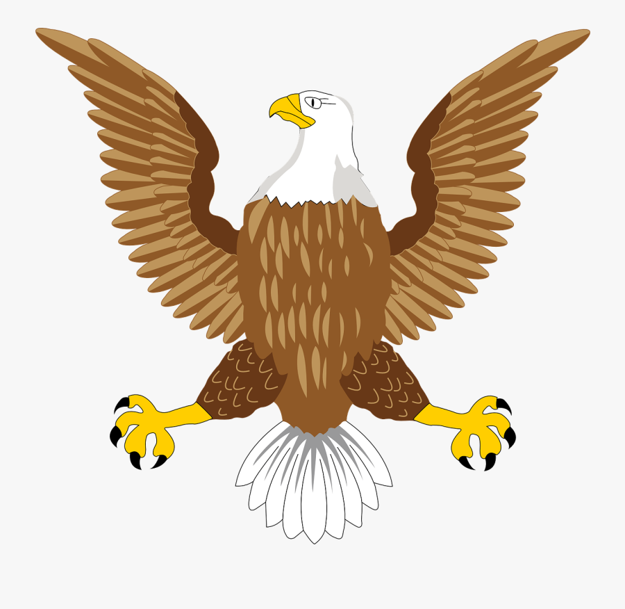 Bald Eagle Png Transparent Free Images - Usa Bald Eagle Symbol, Transparent Clipart