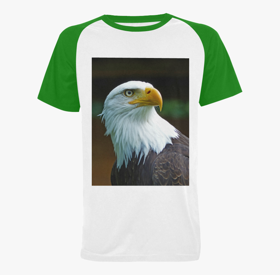 Transparent Usa Eagle Png - American Bald Eagle Head , Free Transparent ...