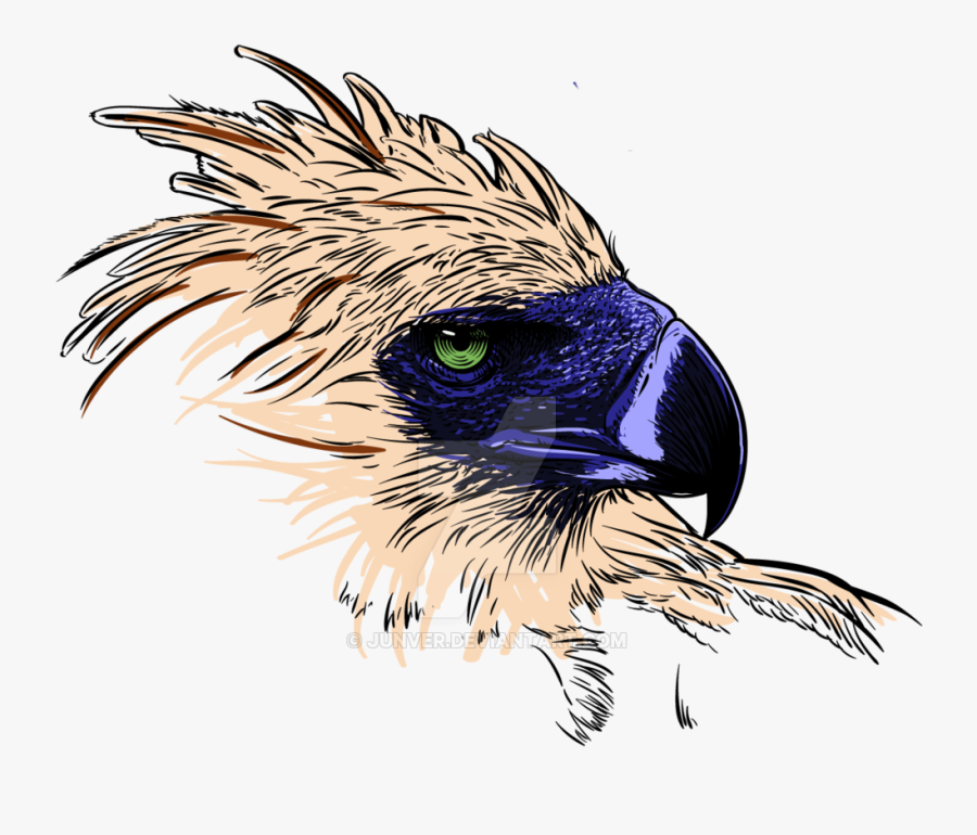 Eagle Clipart Philippines - Philippine Eagle Transparent Background, Transparent Clipart