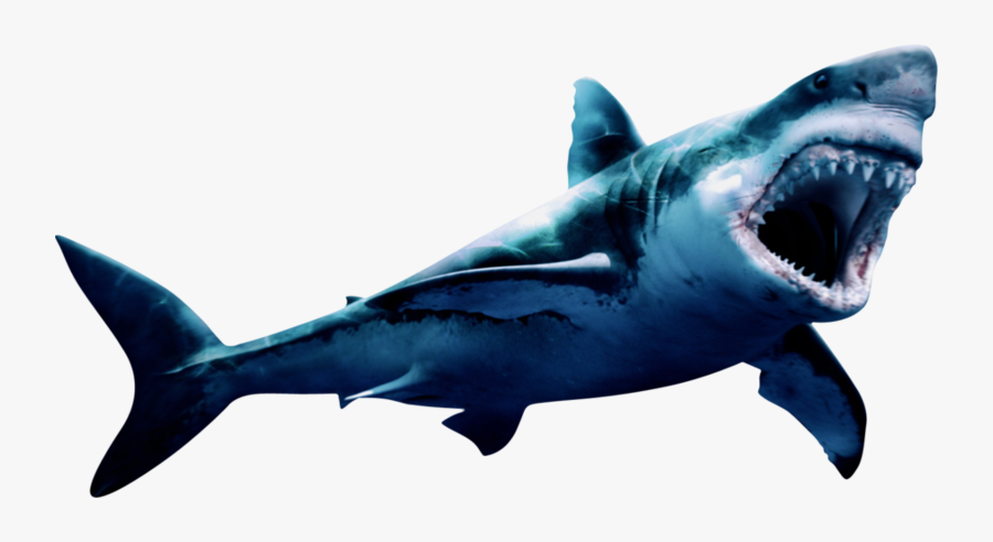 Megalodon Png Pic - Geometric Shark Painting, Transparent Clipart