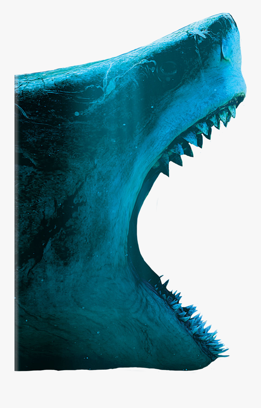 #megalodon #freetoedit - Shark, Transparent Clipart