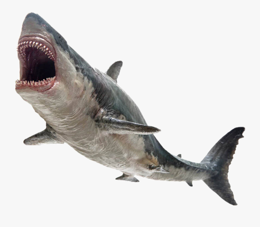 #shark #monster #killer #鲨鱼 #jaws #megalodon - Pnso Megalodon Toy, Transparent Clipart