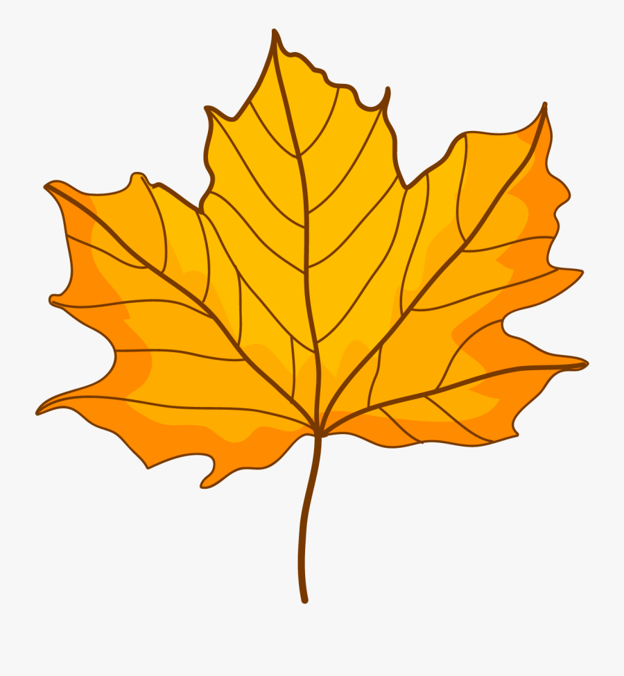 Fall Autumn Leaves Cartoon Png , Free Transparent Clipart - ClipartKey