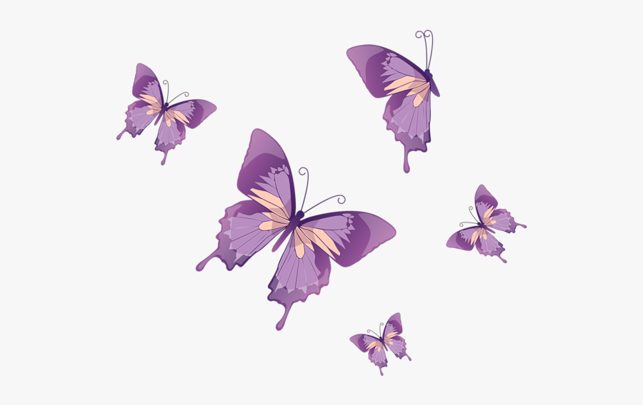 Purple Butterfly Vector Png, Transparent Clipart