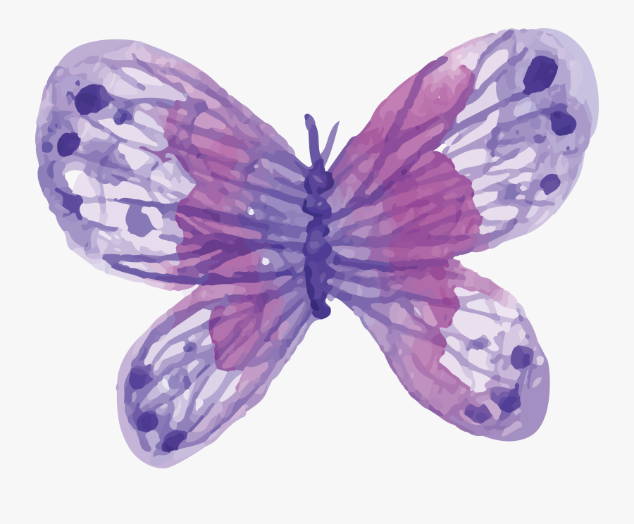 Transparent Lavender Butterfly Clipart - Purple Watercolor Butterfly Png, Transparent Clipart