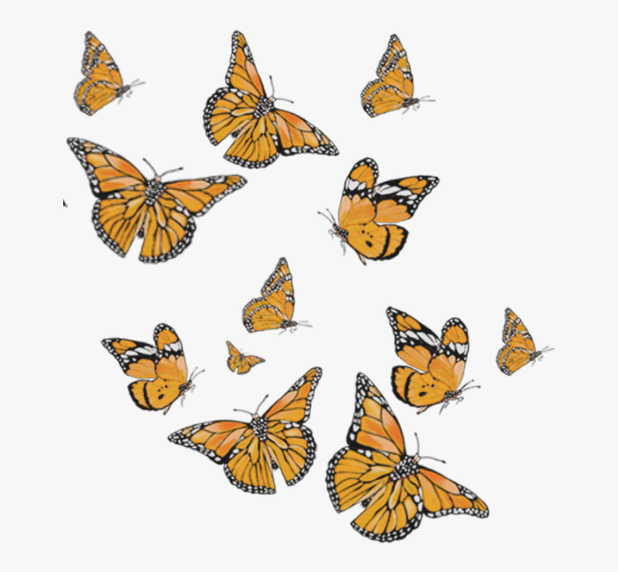 #papillons #butterfly #orange #papillon #orange #orangebutterfly - Butterfly Png For Editing, Transparent Clipart