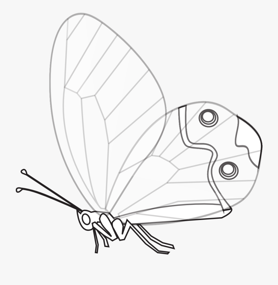 Net » Clip Art » Papillon Transp Butterfly Black White - Butterfly, Transparent Clipart