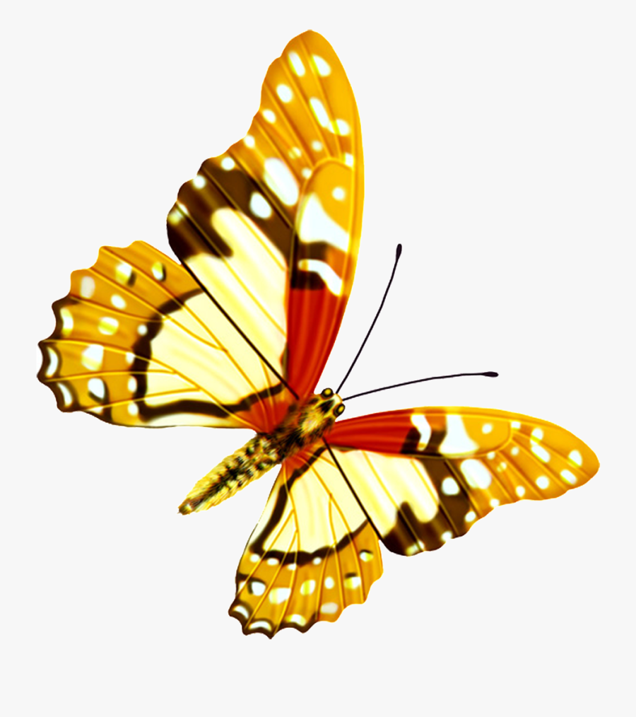 Hd Beautiful Colorful Butterfly Png - Hd Beautiful Png, Transparent Clipart