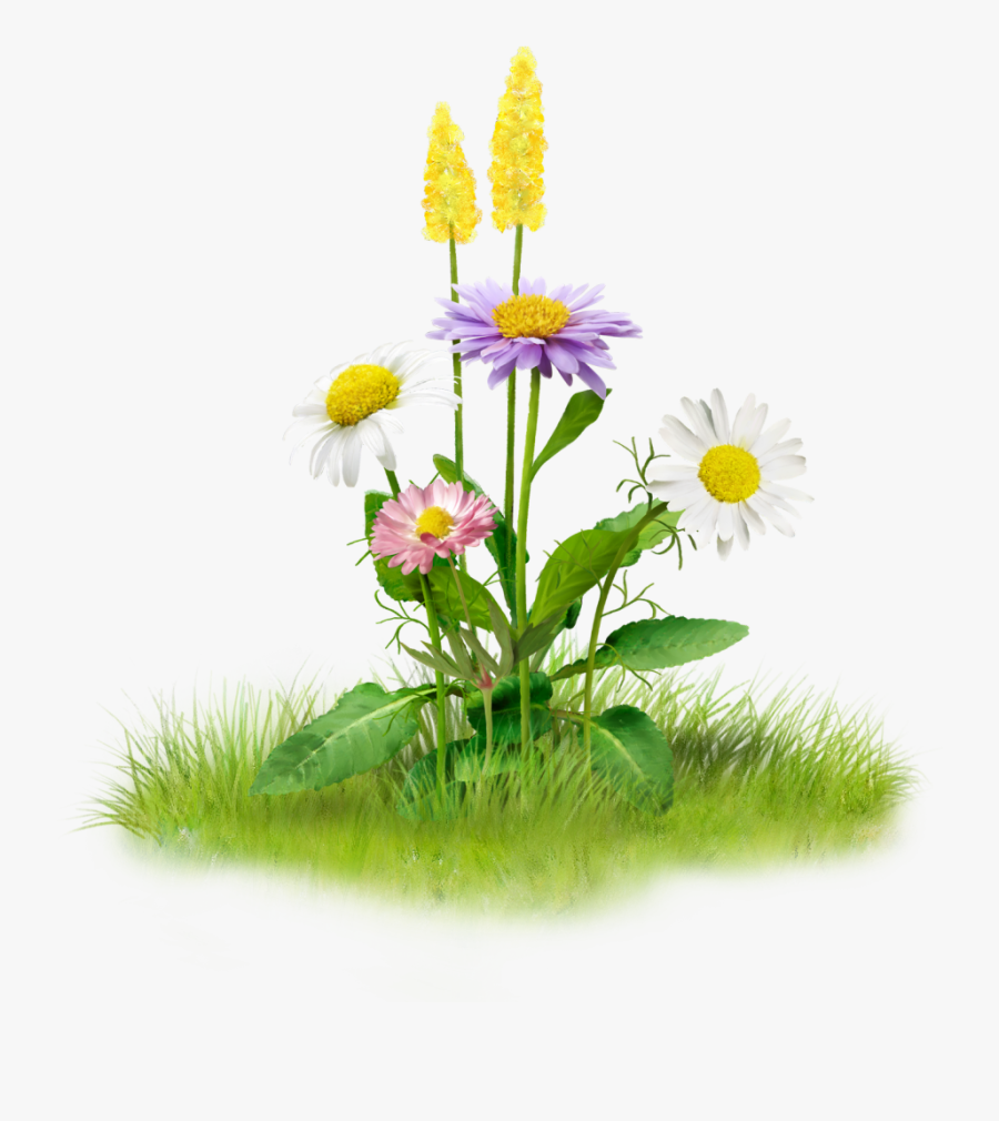 Nature Clip Art - Nature Png , Free Transparent Clipart - ClipartKey