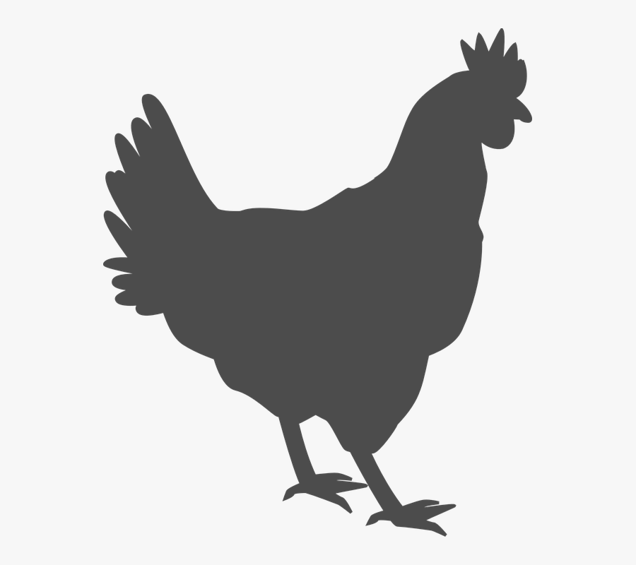 Vector Chicken Silhouette Png, Transparent Clipart