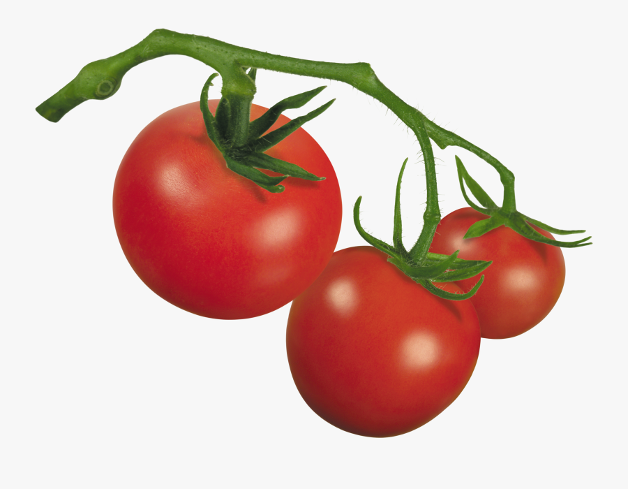 Clipart Of Tomato, Tomato The And Tomato Of - Plum Tomato, Transparent Clipart