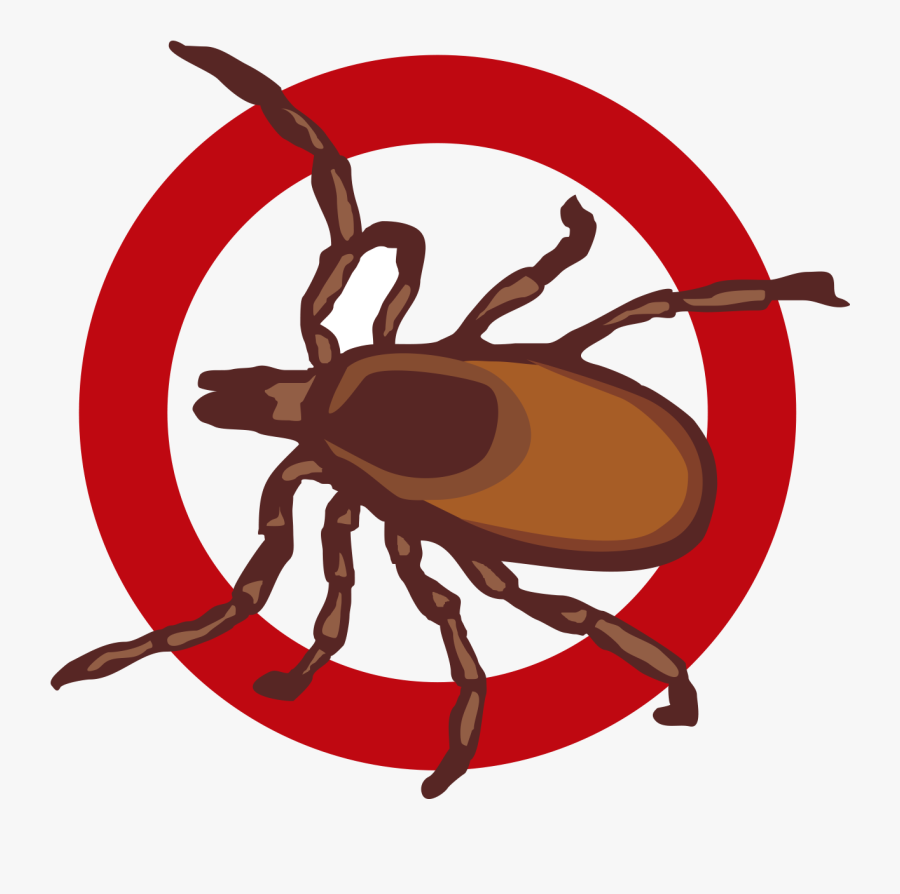 Pest Control Specialists Clipart , Png Download - Pest, Transparent Clipart