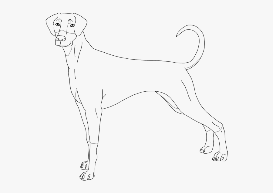 Pinscher Drawing At Getdrawings - Dog Yawns, Transparent Clipart