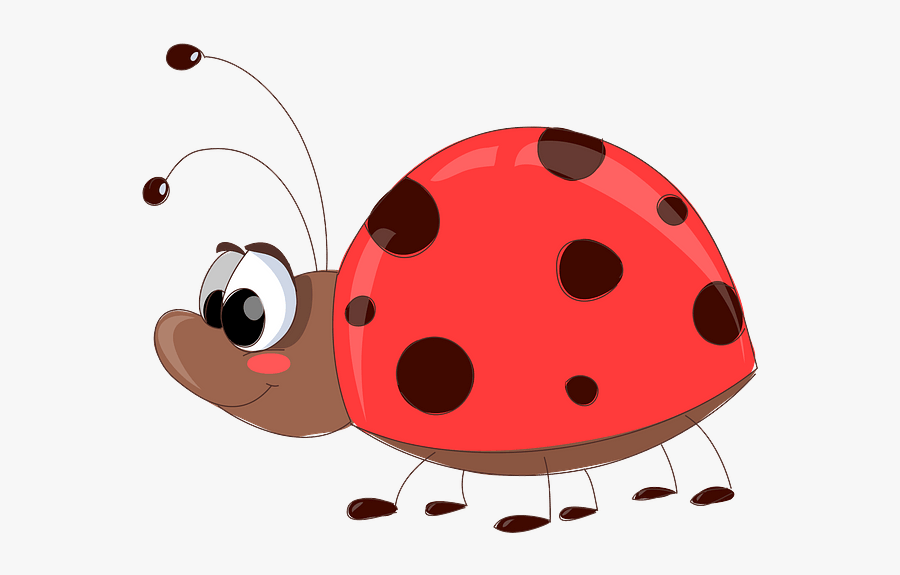 Ladybug, Transparent Clipart