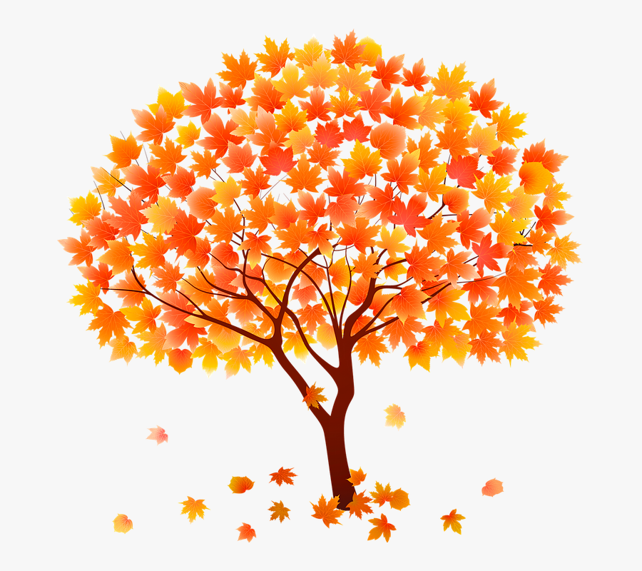 Autumn Tree Vector Png , Free Transparent Clipart - ClipartKey