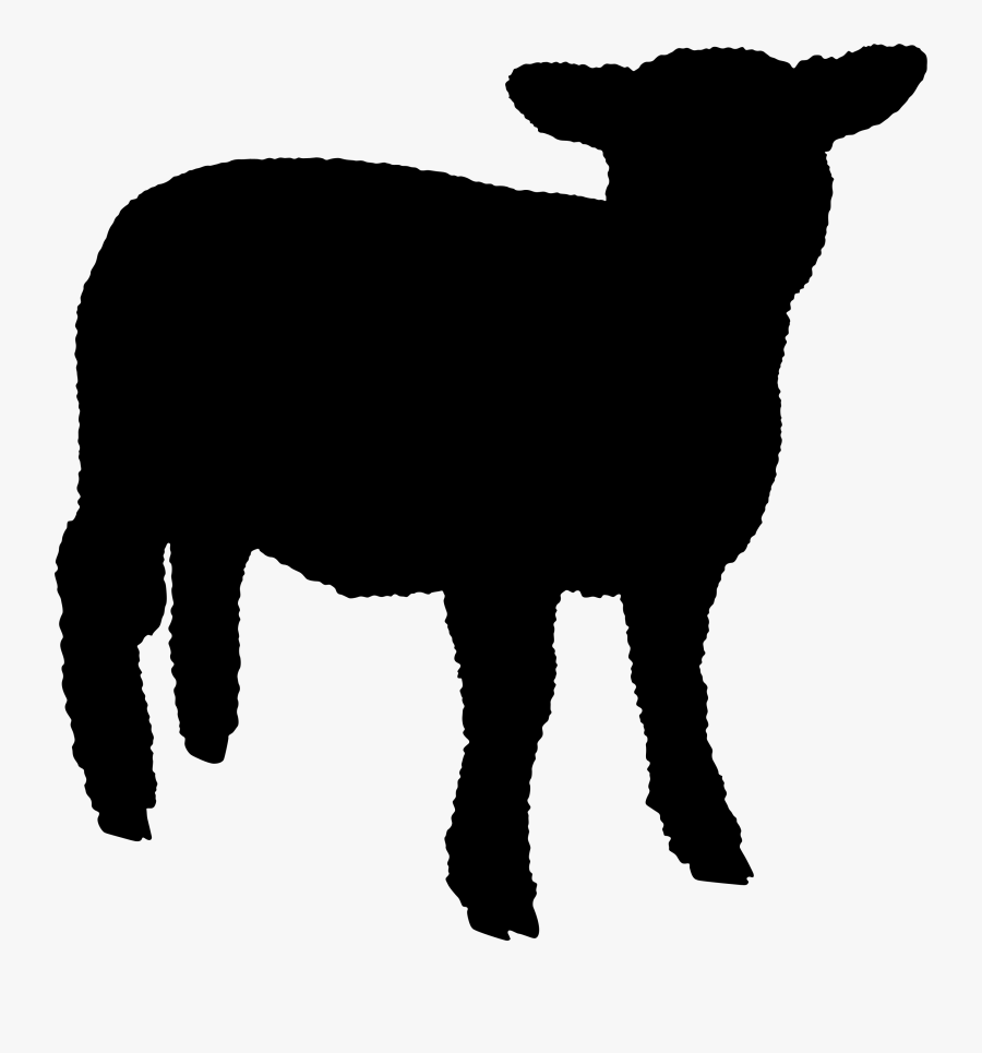 Sheep Cattle Dog Goat Deer - Sheep, Transparent Clipart