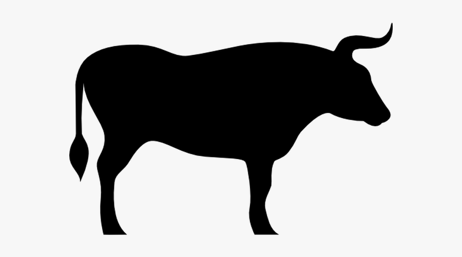 Angus Cattle Bull Texas Longhorn English Longhorn Clip - Bull Silhouette Clip Art, Transparent Clipart