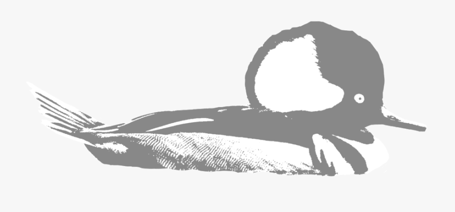 Hooded-merg - Illustration, Transparent Clipart