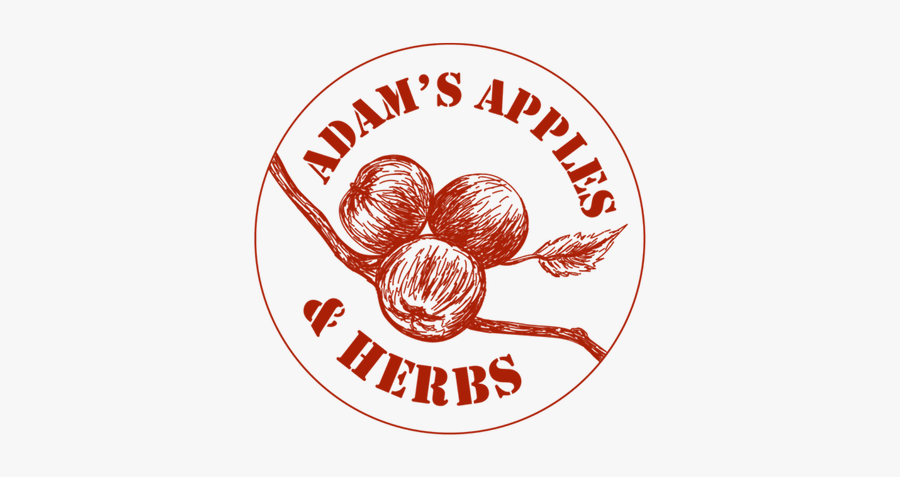 Adam"s Logo - Himmarcomm, Transparent Clipart