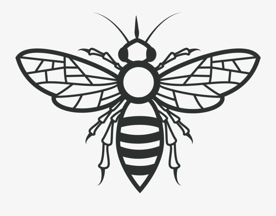 Fly,line Art,symmetry - Honey Bee Cute Art, Transparent Clipart