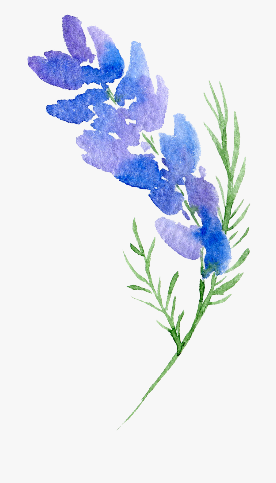 Floral Design Flower Watercolor Painting - Watercolor Blue Flowers Png, Transparent Clipart