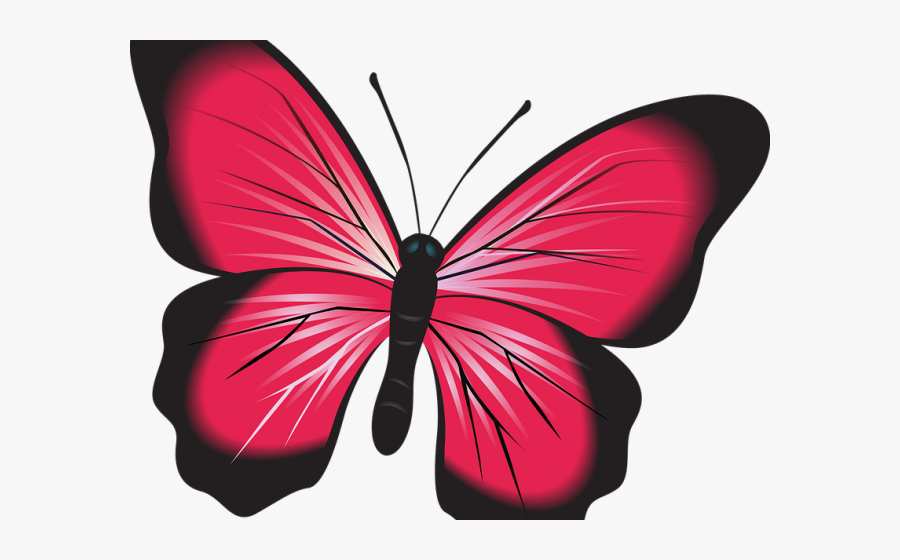 Insect Clipart Butterfly - Transparent Clipart Blue Butterfly, Transparent Clipart