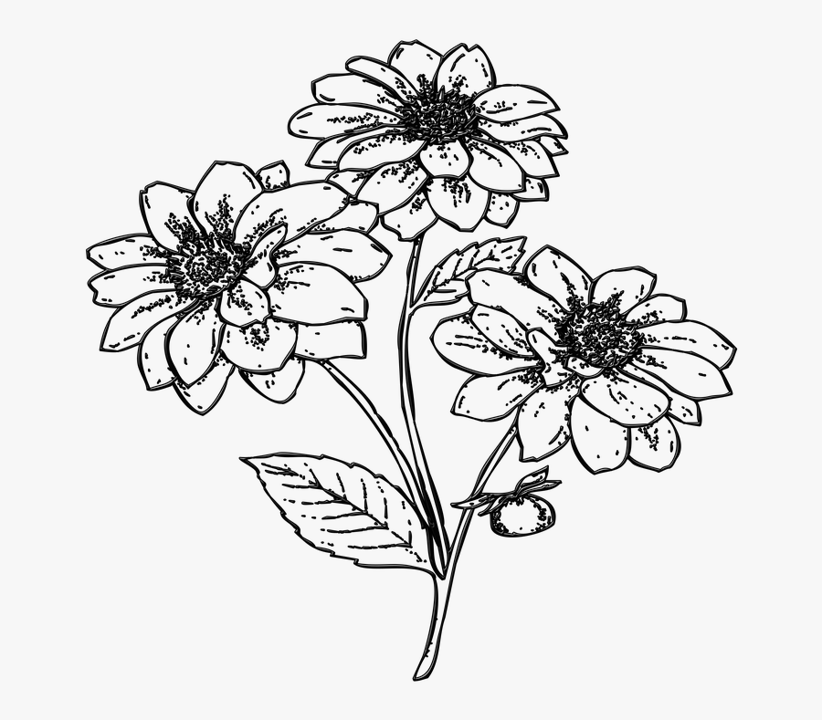 Flowers Png Clipart, Transparent Clipart