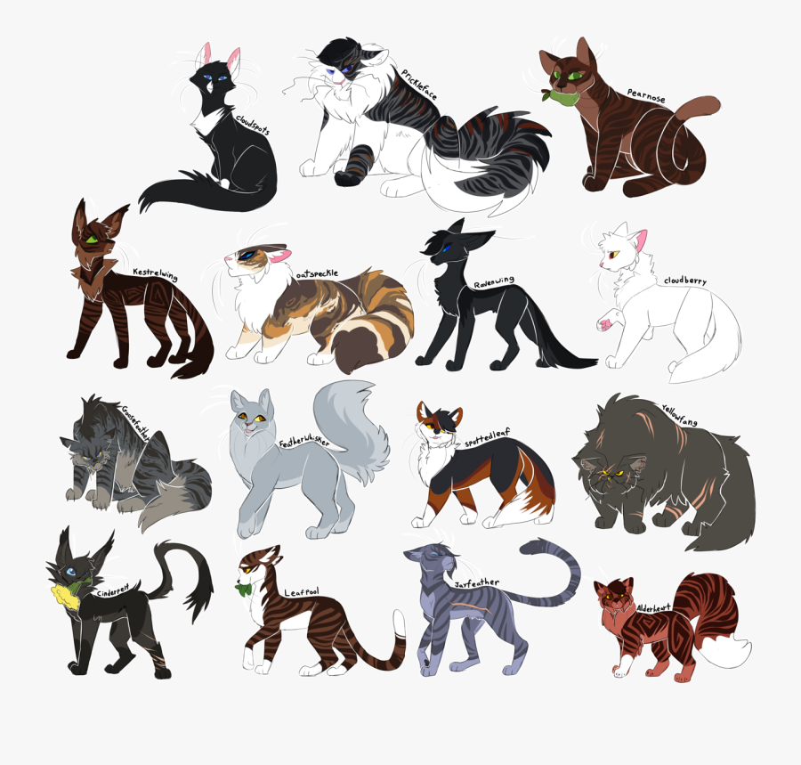 Phew All Of The Thunderclan Medicine Cats You Know, - Draikinator Warrior Cats Designs, Transparent Clipart