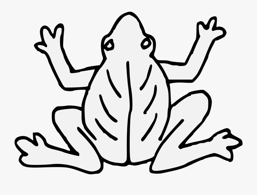 Heraldic Frog, Transparent Clipart