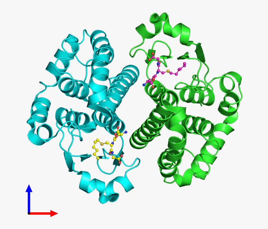 Glutathione S Transferase Png, Transparent Clipart