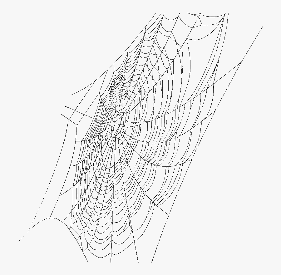 #draingang #sadboys #sadboys2001 #cyber #spider #tumblr - Drain Gang Spider Web, Transparent Clipart