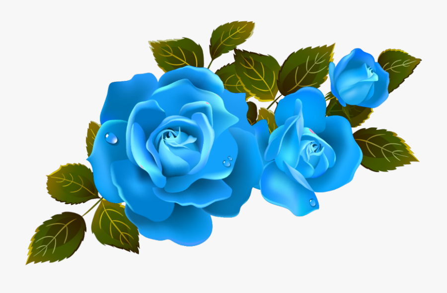 Mq Blue Roses Rose Flower Flowers - Transparent Background Red Flower Png, Transparent Clipart