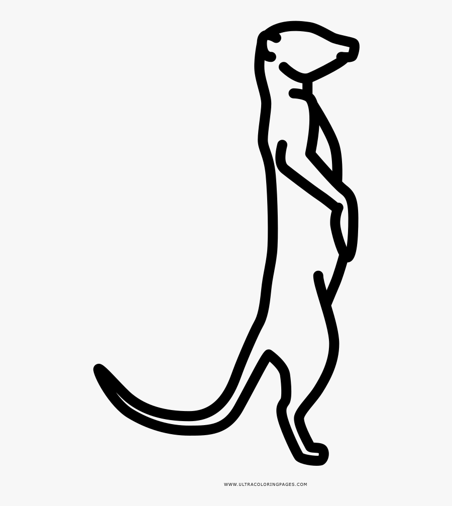Meerkat Coloring Page - Meerkat Color Drawing, Transparent Clipart