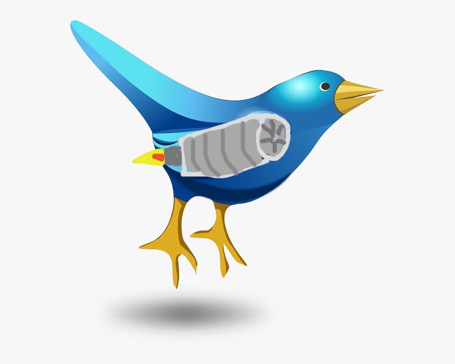Twitter Funny Bird Png, Transparent Clipart