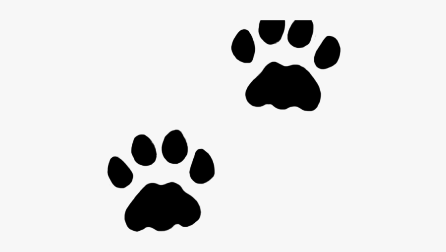 Cat Paw Print Transparent, Transparent Clipart